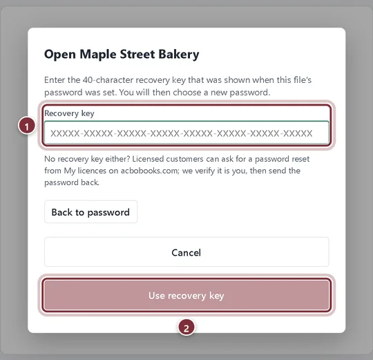 The recovery key view of the open dialog, with the recovery key field and Use recovery key button