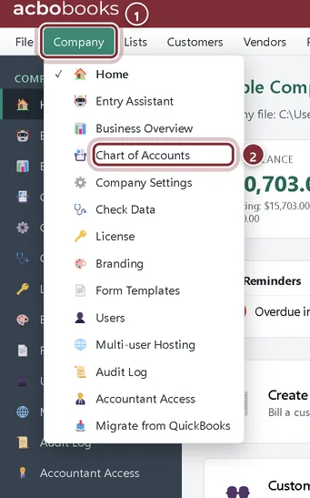 The Company menu open, with Chart of Accounts highlighted