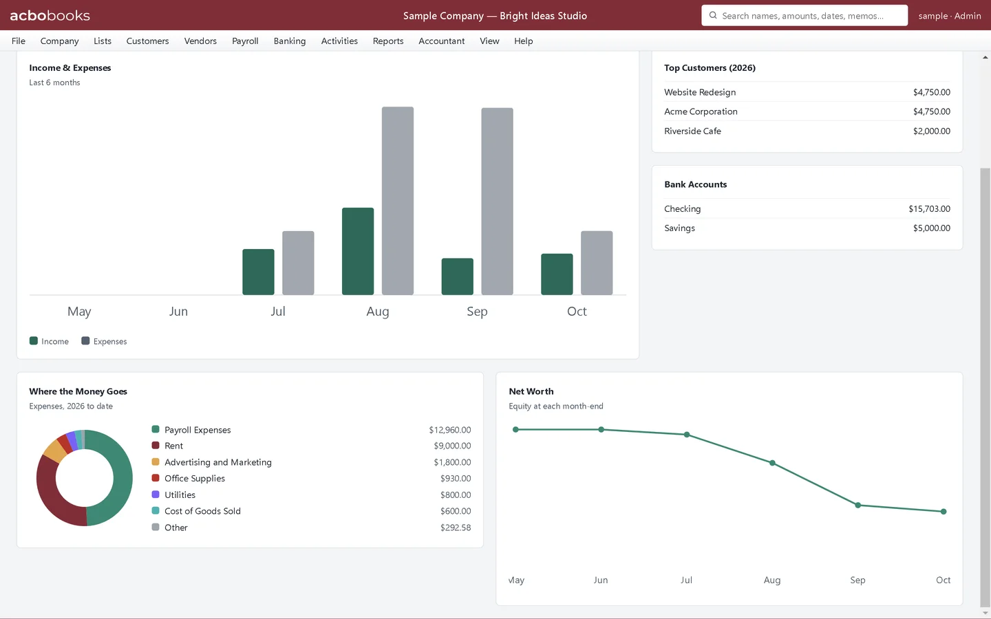 Business Overview lower half with the expense breakdown and the net worth line