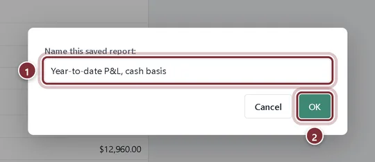 Name this saved report dialog with Year-to-date P&L, cash basis typed in