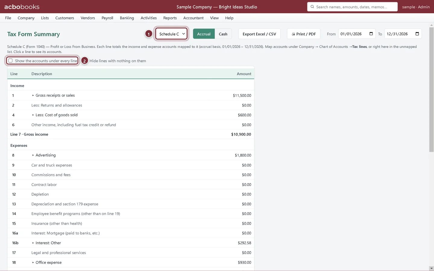 Tax Form Summary for Schedule C with gross receipts, cost of goods sold and expense lines